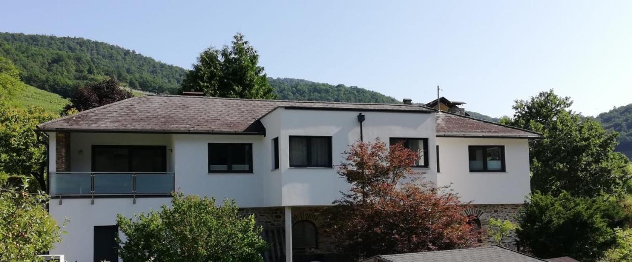 Ferienhaus Johanna Spitz an der Donau ภายนอก รูปภาพ